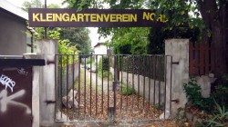 Schönste Kleingartenanlage Dresdens 2025 gesucht der Kleingartenverein Nord