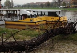 6-Meter-Baum legt "Johanna" lahm "Johanna" mit Baum