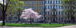 Alaunplatz im April 2016