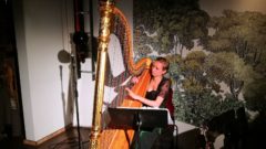 Kebab-Violine und Burger-Harfe Isabel Goller an der Harfe im Burgerheart.