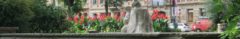 Blumenbeet am Alaunplatz im August 2018