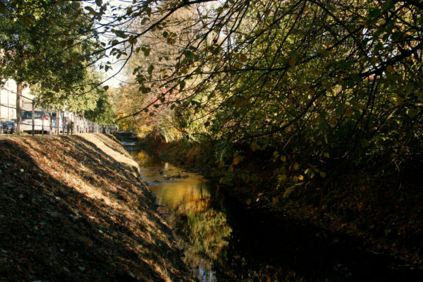 Von Rossendorf fließt sie gemütlich bis zur Elbe.