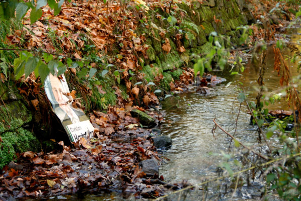 Sogar ein Wahlplakat findet sich in der Prießnitz - Es wird Zeit aufzuräumen!