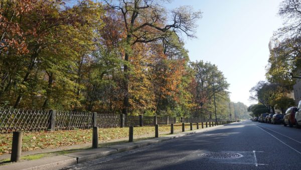 Hechtpark im Herbst