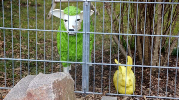 Wo Schaf und Hase guten Tag sagen. Foto: Philine