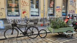 Kleines Fahrgärtchen in Gefahr Das Fahrgärtchen auf der Prießnitzstraße - laut Ordnungsamt handelt es sich um einen Gegenstand, der eine Sondernutzungsgenehmigung braucht. Foto: Anton Launer