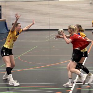 Nach dritter Niederlage: Sportis am Sonnabend gegen Döbeln In der ersten Hälfte konnten die Sportis noch gut mithalten. Foto: Sportfreunde 01