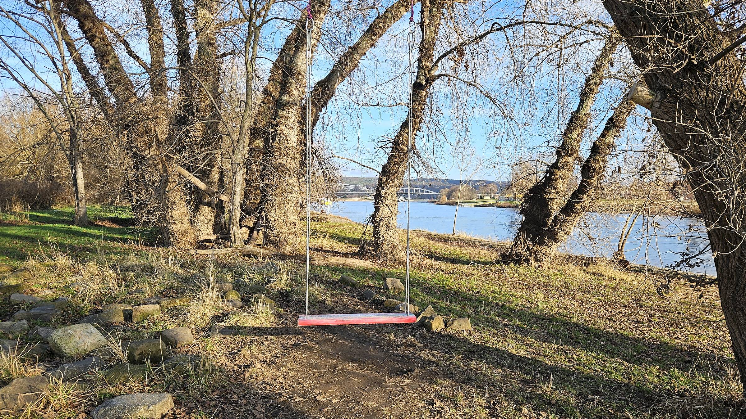 Es kann wieder geschaukelt werden - Foto: Anton Launer