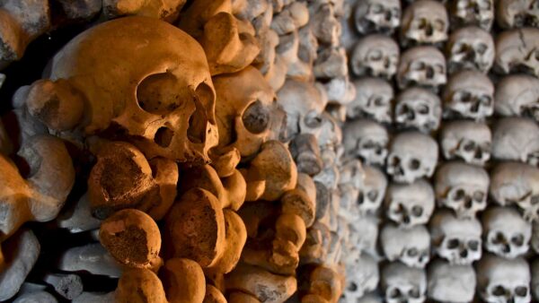 Geflüster der Vergessenen - Foto: Hanna Krezlewska