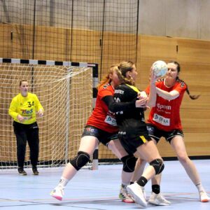 Handball: Sieg gegen die Rödertalbienen Die Abwehr steht. Foto: Sportfreunde 01