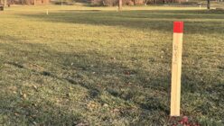 XXL-Streichhölzer im Alaunpark XXL-Streichholz als Baummarkierung - Foto: Enna Miau