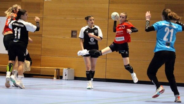 Starker Angriff, starke Abwehr - Foto: Sportfreunde01