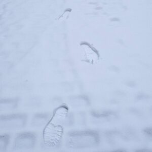 Spuren im Schnee - Symbolbild - Foto: Anton Launer