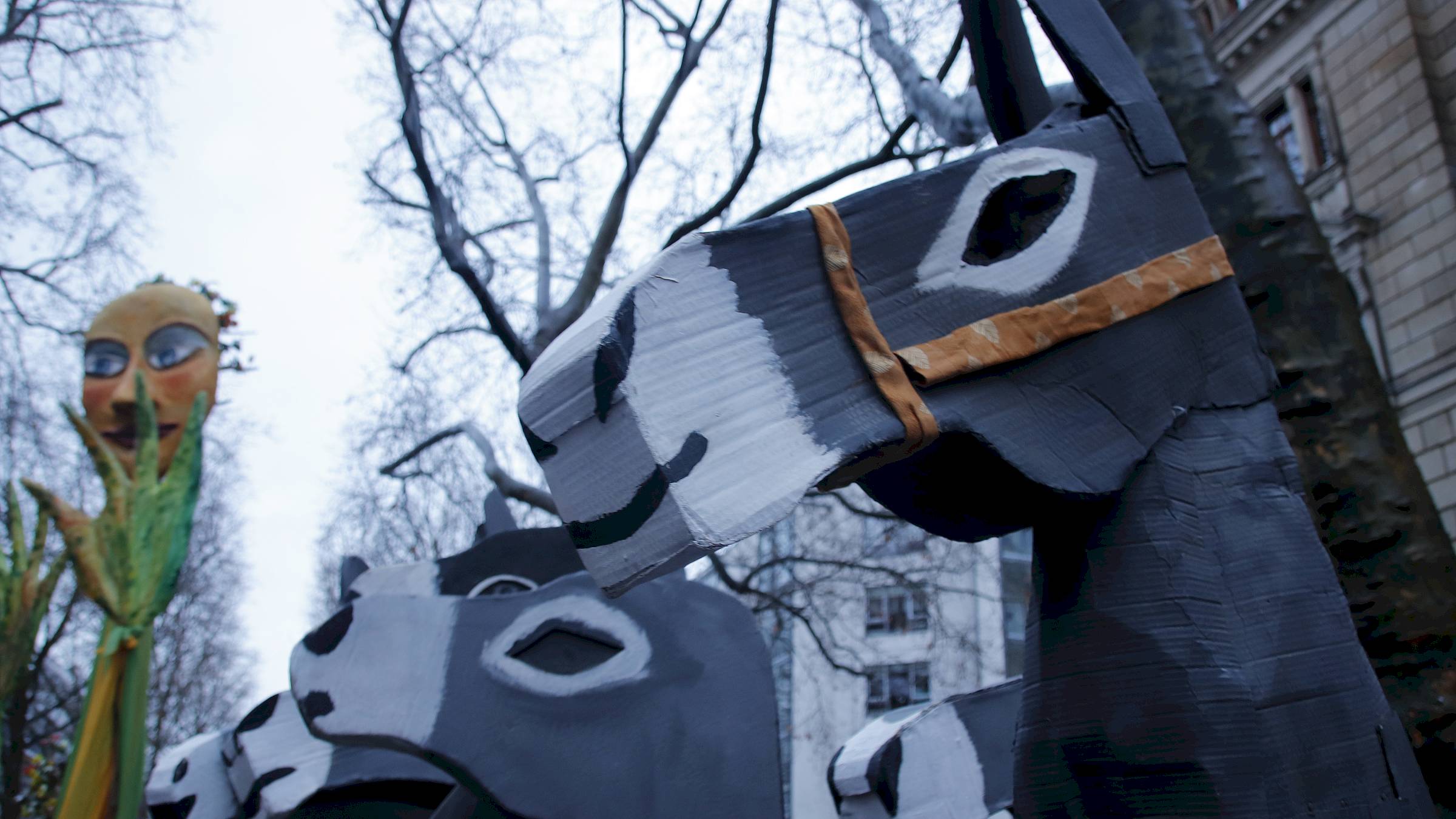 Esel - jederzeit zu jeder Eselei bereit - Foto: Anton Launer