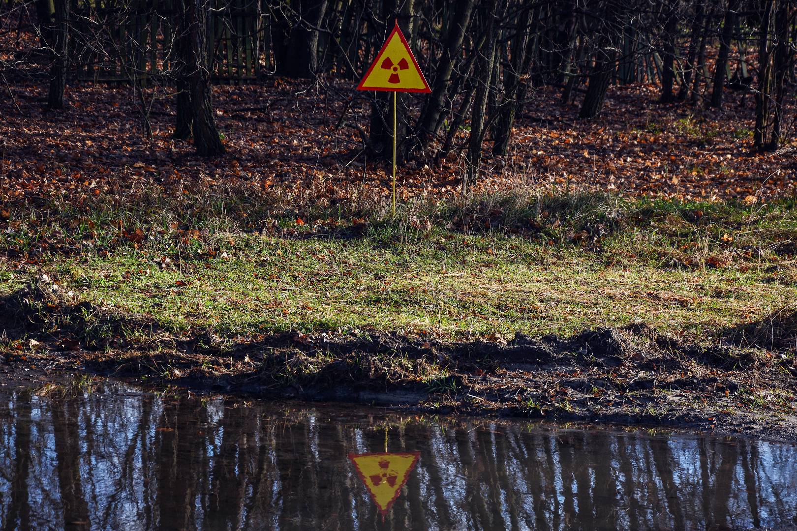 Die Warnung - Foto: Oleg Kutskiy 2013