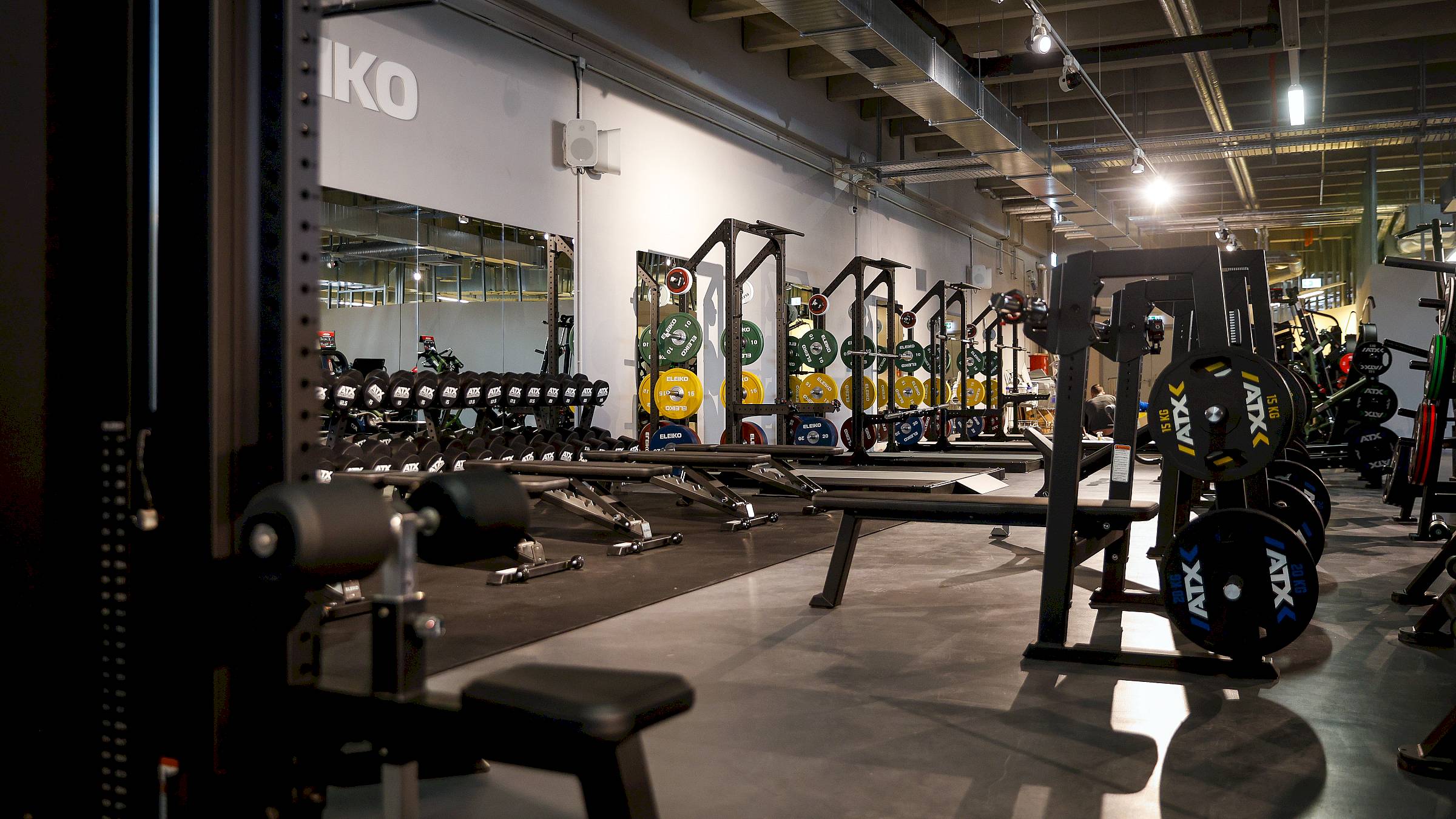 Es dürfen aber auch immer noch jede Menge Hanteln gedrückt werden. Foto: Florian Varga
