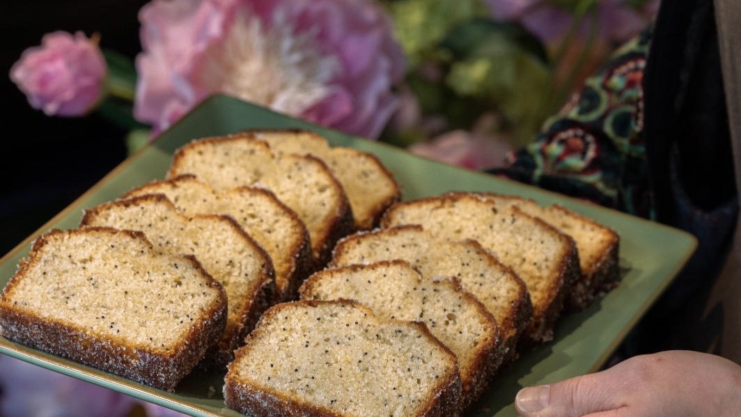 Hausgemachte Speisen im studio botanique - Foto: Friederike Paulsen