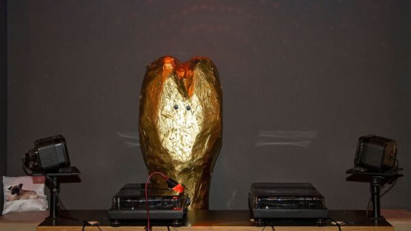 DJ "Golden Bone" - Foto: Dogs, Bones & Catering