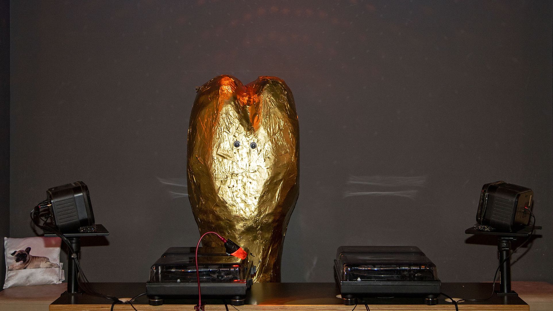 DJ "Golden Bone" - Foto: Dogs, Bones & Catering