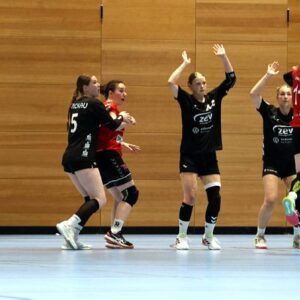 Vor allem dem Angriff der Dresdnerinnen waren die Handballerinnen aus Zwickau nicht gewachsen. Foto: Sportfreunde01 Dresden Nord