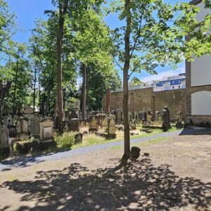 Alter Jüdischer Friedhof saniert Alter Jüdischer Friedhof an der Pulsnitzer Straße mit neuem Rundweg - Foto: Anton Launer