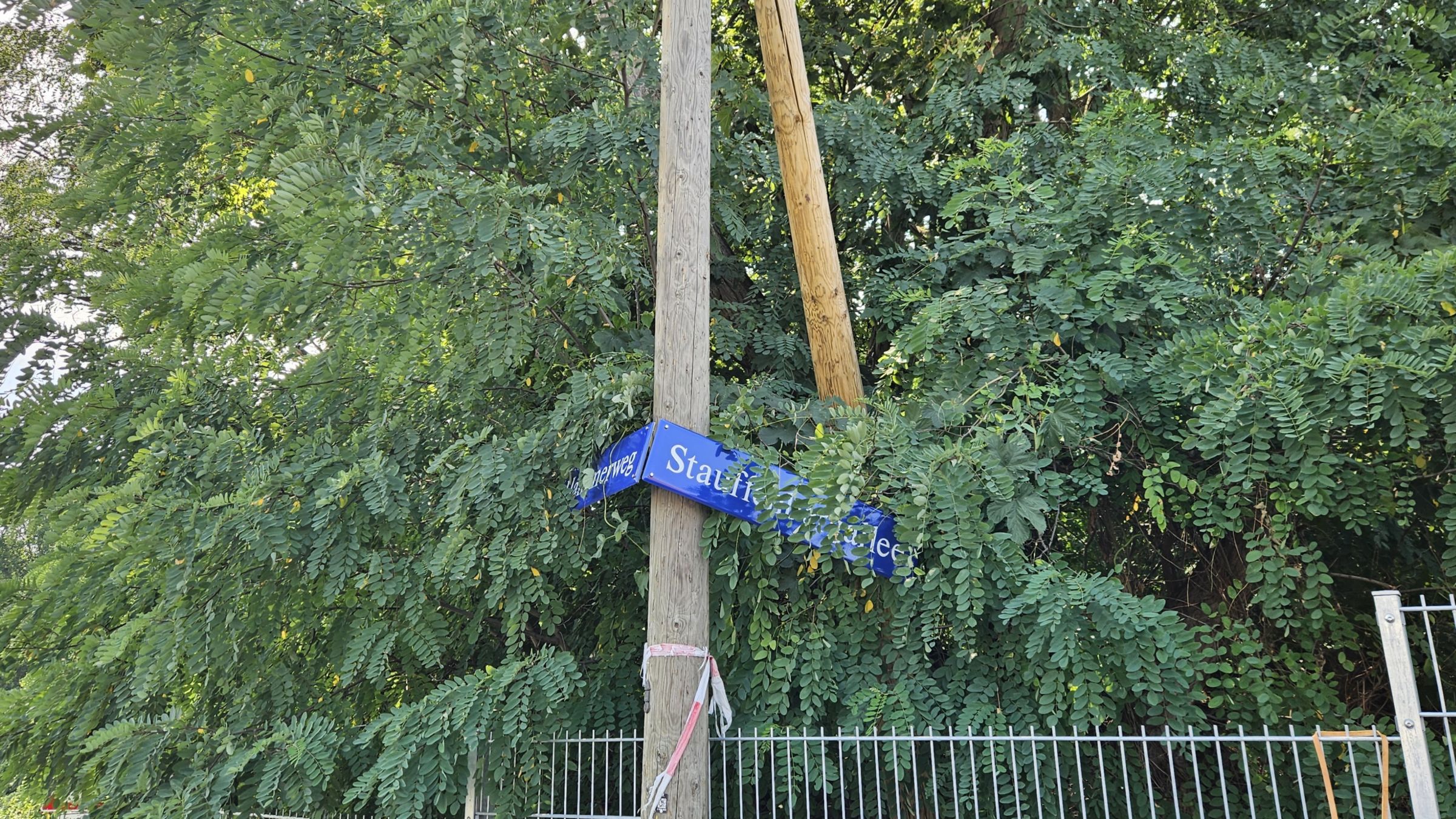 Auf dem Gelände Hammerweg/Stauffenbergallee soll erst ein LKW-Parkplatz und später ein Umspannwerk entstehen - Foto: Anton Launer