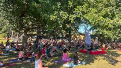 Yoga mit Gebärdensprache und Indische Nacht im Alaunpark Palais Sommer veranstaltet auf dem Alaunplatz "Yoga im Park" - Foto: PR/Palais Sommer